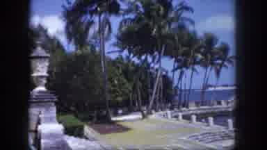 Tampa Florida USA (1960): Elderly Lady Sitting By Palm Trees And A Large Body Of
