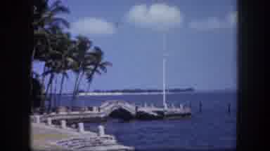 Tampa Florida USA (1960): Beautiful Coastal View Of The Ocean A Dock Palm Trees