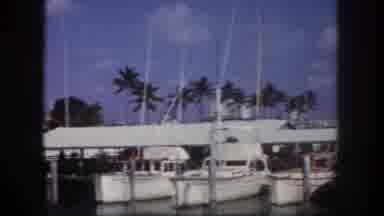 Tampa Florida USA (1960): Different Types And Sizes Of Boats All Docked In A Line