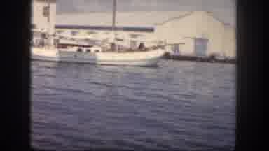 Tampa Florida USA (1960): Waterfront Boats Docked Sunshine Blue Water Building