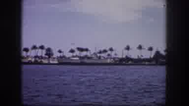 Tampa Florida USA (1960): It Is The Beautiful Place Look Like A Very Nature Place
