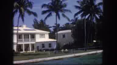 Tampa Florida USA (1960): Passing View Of A White House And Palm Trees On A Bright