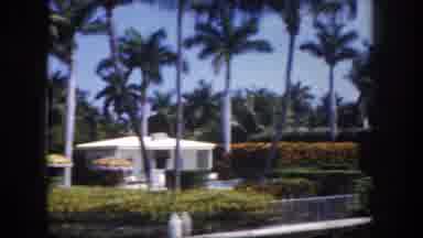 Tampa Florida USA (1960): Houses Trees Driving And Roaming Streets During Late
