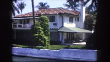 Tampa Florida USA (1960): California Car Palm Tree Summer Sunny Vacation Road