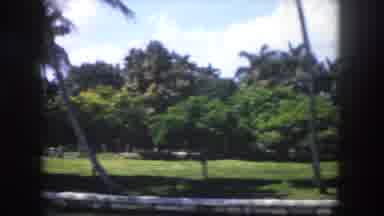 Tampa Florida USA (1960): Out On A Drive House Hunting During A Beautiful Sunny