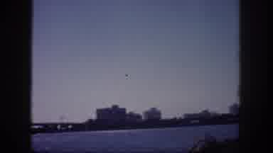 Tampa Florida USA (1960): Sun Weekend Vocation City Summer Sea Bridge Buildings