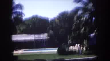 Tampa Florida USA (1960): The Garden Look Like Very Greenish And Beautiful This