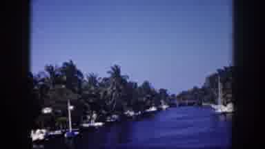 Tampa Florida USA (1960): The Place Is Beautiful In Its Natural Surroundings