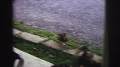 Lynbrook New York (1976): The Little Kids Are Playing With Happily Moment