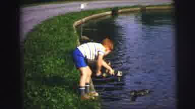 Lynbrook New York (1976): Two Little Boys Feeding Ducks Bread From The Bank Of A