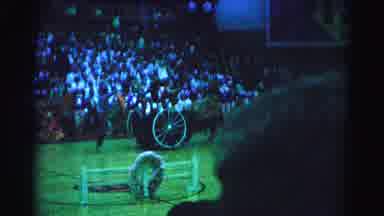 Hagerstown Maryland Usaa (1963): People Dressed Up As Horses Pulling People In