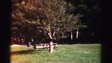 Hagerstown Maryland Usaa (1963): Park Grass Trees Bench Vintage Filter Panning