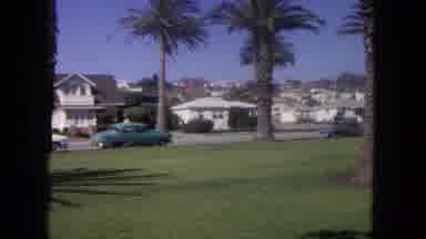 Tijuana Mexico (1962): Blue Car Parked Next To Palm Tree On A Bright Sunny Day