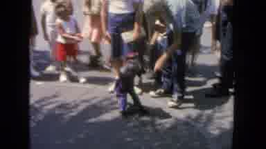 San Diego California (1962): Small Monkey Playing With Humans Wearing A Red And