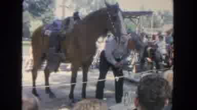 San Diego California (1962): Man Untying Horse From Stand
