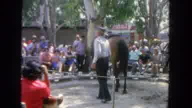 San Diego California (1962): An Old Footage Of A Cowboy And His Horse In A
