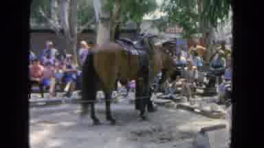 San Diego California (1962): The Horse Is Center And The Persons Are Around By The