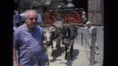 San Diego California (1962): Statues Of Two Donkeys And A Barber Giving A Man A