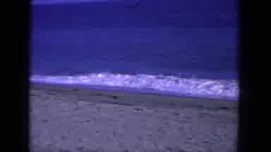 San Diego California (1962): There Is A Baby Playing With Her Puppy And She Is In