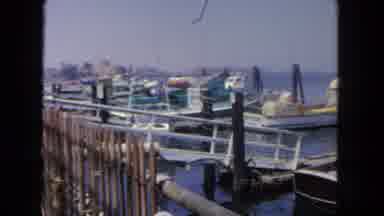 San Diego California (1962): A View Of The Harbor And The Many Different Boats