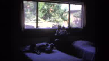 San Diego California (1962): The Mango Is Ripe For Eating