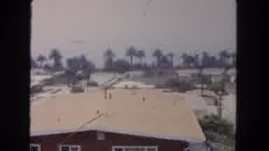 San Diego California (1962): Many Buildings Standing Together Next To Trees But We