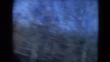 Mexico City Mexico (1962): Filming Of A Car Ride Trees Passing By Quickly Black