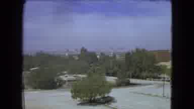 Mexico City (1962): Shots And Pans Of Trees And Business Buildings