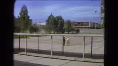 Mexico City (1962): A View Of A School Building During Nice Spring Time