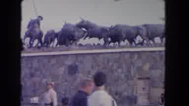 Los Angeles California USA (1962): View Of Cattle Drive Sculpture At Arena On