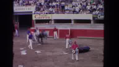 Los Angeles California USA (1962): People Preparing To Remove Bull From Arena