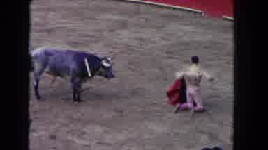 Los Angeles California USA (1962): Bullfighter On His Knees Leading Exhausted Bull