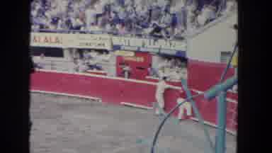 Los Angeles California USA (1962): The Cow Is Very Anger With Another Person's