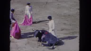 Los Angeles California USA (1962): A Couple Of Men Moving Around With A Large Bull