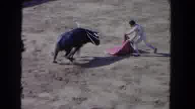 Los Angeles California USA (1962): A Bull Trying To Run To A Rug From Man