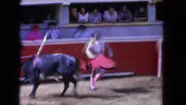 Los Angeles California USA (1962): The Cow Is Very Anger With Another Person's