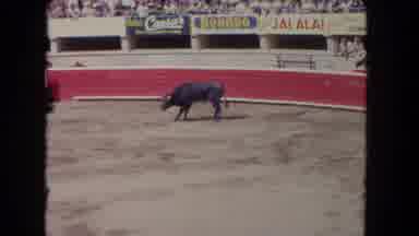 Los Angeles California USA (1962): A Horned Black Bull In A Red-Fenced Arena