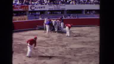 Los Angeles California USA (1962): It Is The Ground And Then 2 Horses Are Taking