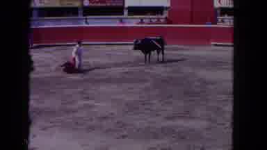 Los Angeles California USA (1962): Training A Bull In The Arena