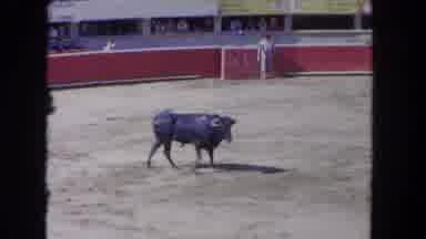 Los Angeles California USA (1962): Matador Backs Away From Black Bull In Arena On