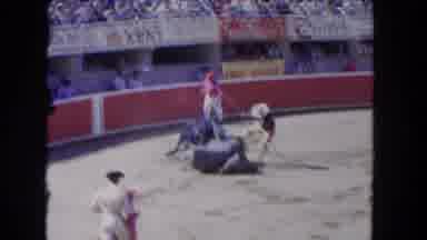 Los Angeles California USA (1962): The Yak Was Very Angry So Everybody Try To Win