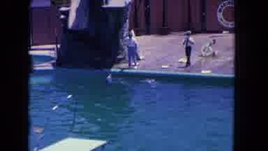Los Angeles California USA (1962): They Feed The Whale From The Pond