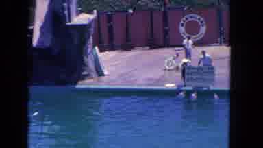 Los Angeles California USA (1962): The Persons Are In The Water Near Doing
