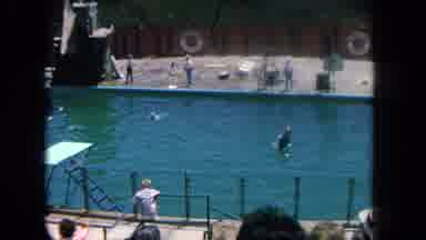 Los Angeles California USA (1962): The Small Boys Were Watching The Swimming Pool