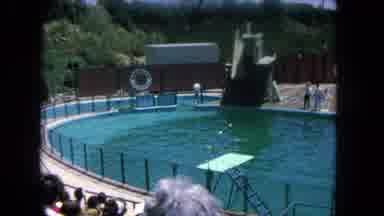 Los Angeles California USA (1962): Waiting For Seaworld Show To Begin