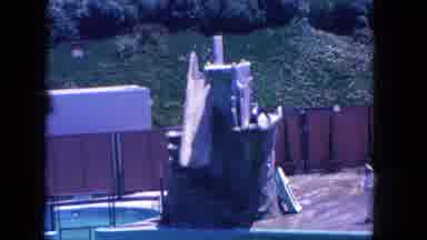 Los Angeles California USA (1962): Trained Seal Jumps Off A Slide On A Sunny Day