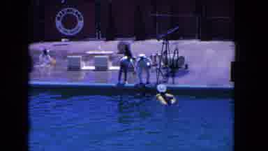 Los Angeles California USA (1962): Swimming Pool Very Beautiful But Dolphin Very