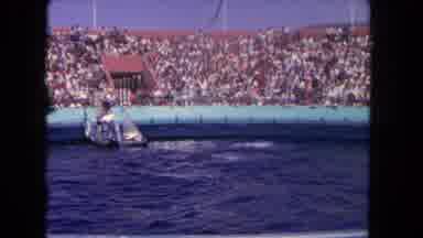 Los Angeles California USA (1962): The Person Is Playing To The Big Dolphin In The