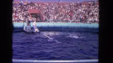 Los Angeles California USA (1962): The Peoples Waiting To See The Dolphins Play