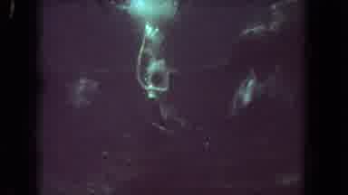 Los Angeles California USA (1962): The Scuba Diver Surrounds Himself With Large